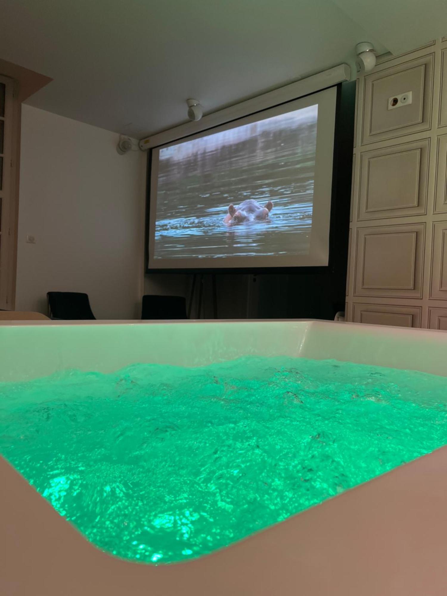 Appartement Avec Jacuzzi Sauna & Home Cinema - Nid D'Анже Экстерьер фото